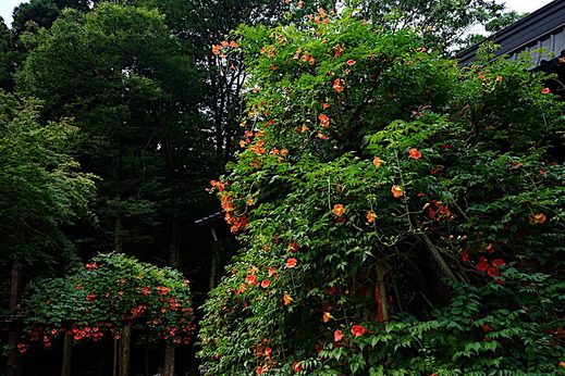 190718̯�ܻ��Υ����󥫥���2