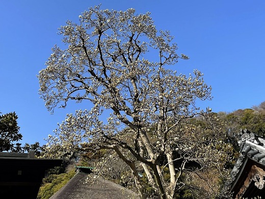 220316�߳л��ϥ��⥯���