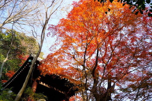 161221̯�ܻ�����2