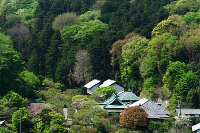 070414東慶寺遠望