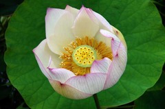 120706�ܳл��ϥ�