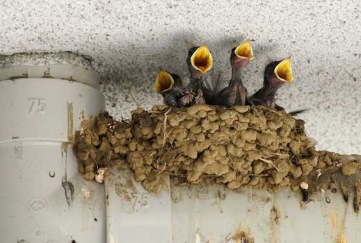 120730����ͥĥХ�