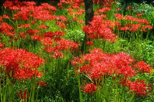 121002�Ѿ����ҥ���Х�