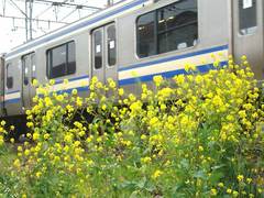 090401���ܲ����ʥΥϥ�