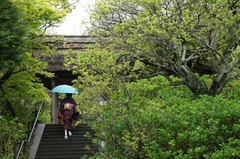 110423��Ļ�����