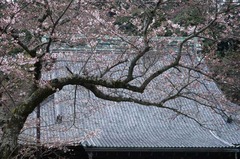 120403̯ËÜ»û