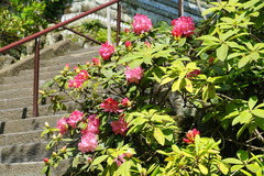 150416Ĺë�����㥯�ʥ�