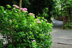 160609���һ���������1