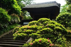 140528±ß³Ð»û¥µ¥Ä¥