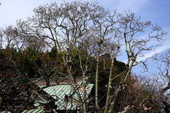 170312��Ļ��ϥ��⥯���