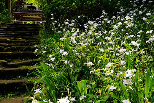 220423���һ����㥬