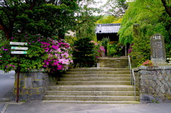 160423�¹������ĥĥ�1