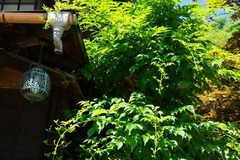 130627��¢���Υ����󥫥���