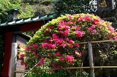 160419��ɻ��ĥĥ�