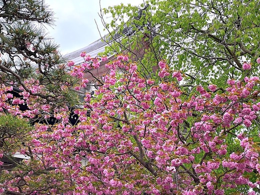 220416�ܳл��䥨������2