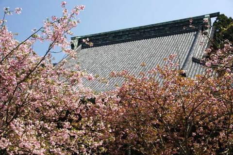 090411̯ËÜ»û¥«¥¤¥É¥¦
