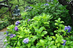 150706��Ļ���������