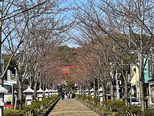 220324�ᲬȬȨ�ܥ�����3