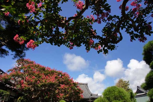 120831�ܳл����륹�٥�1