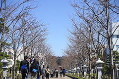 200318Ãʳ륵¥¯¥é