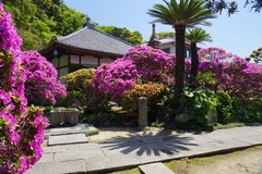 140511���ܱ��ĥĥ�2