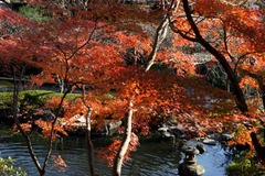 101215Ĺë������3