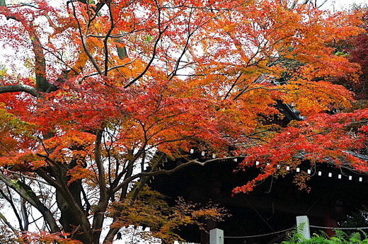 221217̯�ܻ�����2