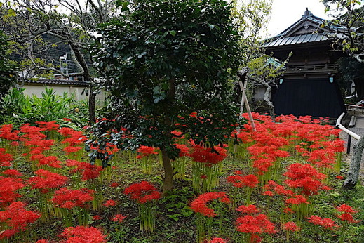 190930�Ѿ����ҥ���Х�2