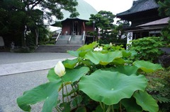 110709�ܳл��ϥ�