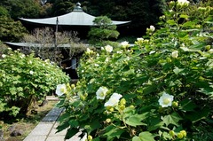 111009�������ե襦