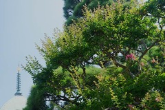 140729�ܳл����륹�٥�