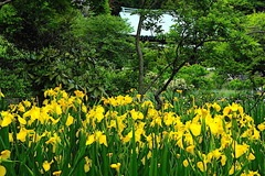 170514ζ��������祦��