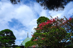 150810�ܳл����륹�٥�2