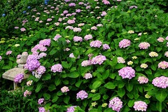 160606Ĺë����������2