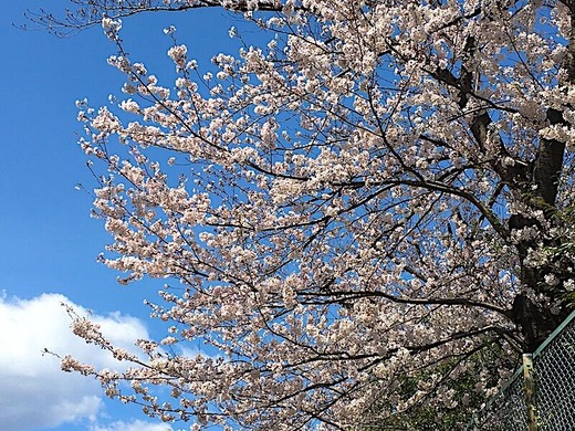 200402����ͥ��ᥤ�襷��