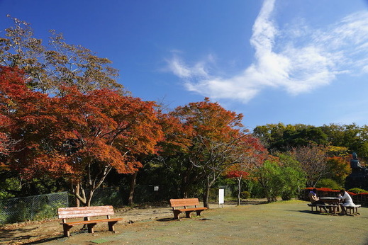 141116���ỳ����