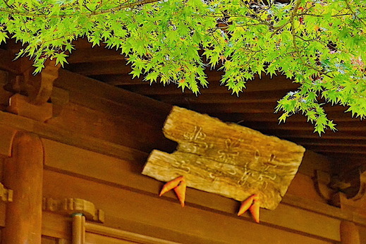 211120Ĺ����