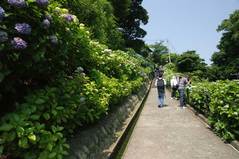 100612����������������