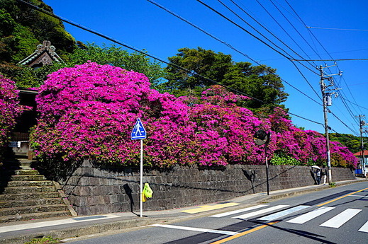 230427���ܱ��ĥĥ�3