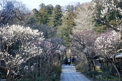 150305��Ļ�����2