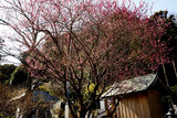 090208�罡��
