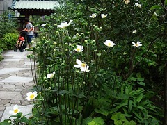 150913�繪�����奦�ᥤ����