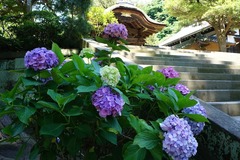 140629�߳л���������1