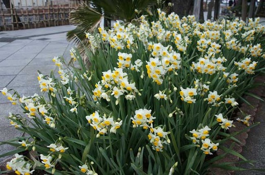 120121��̱������������