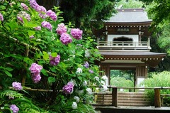 120622���һ���������2