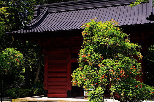 200629̯�ܻ��Υ����󥫥���