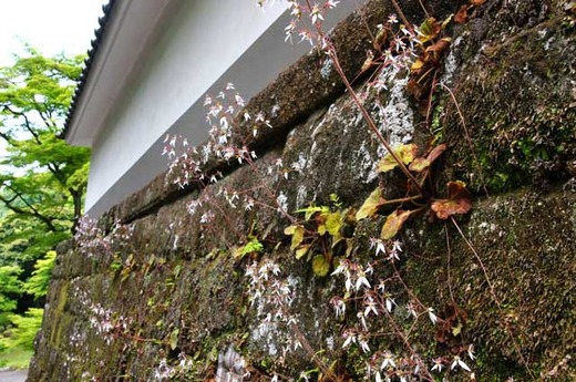 130523�߳л��業�Υ���