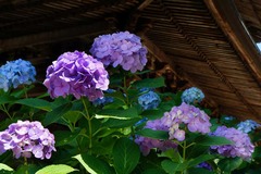 140629�߳л���������3