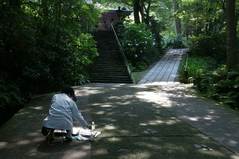 090627妙本寺の様子