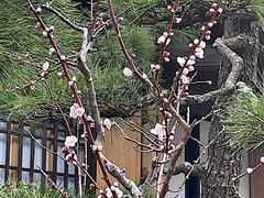 240217�繪������